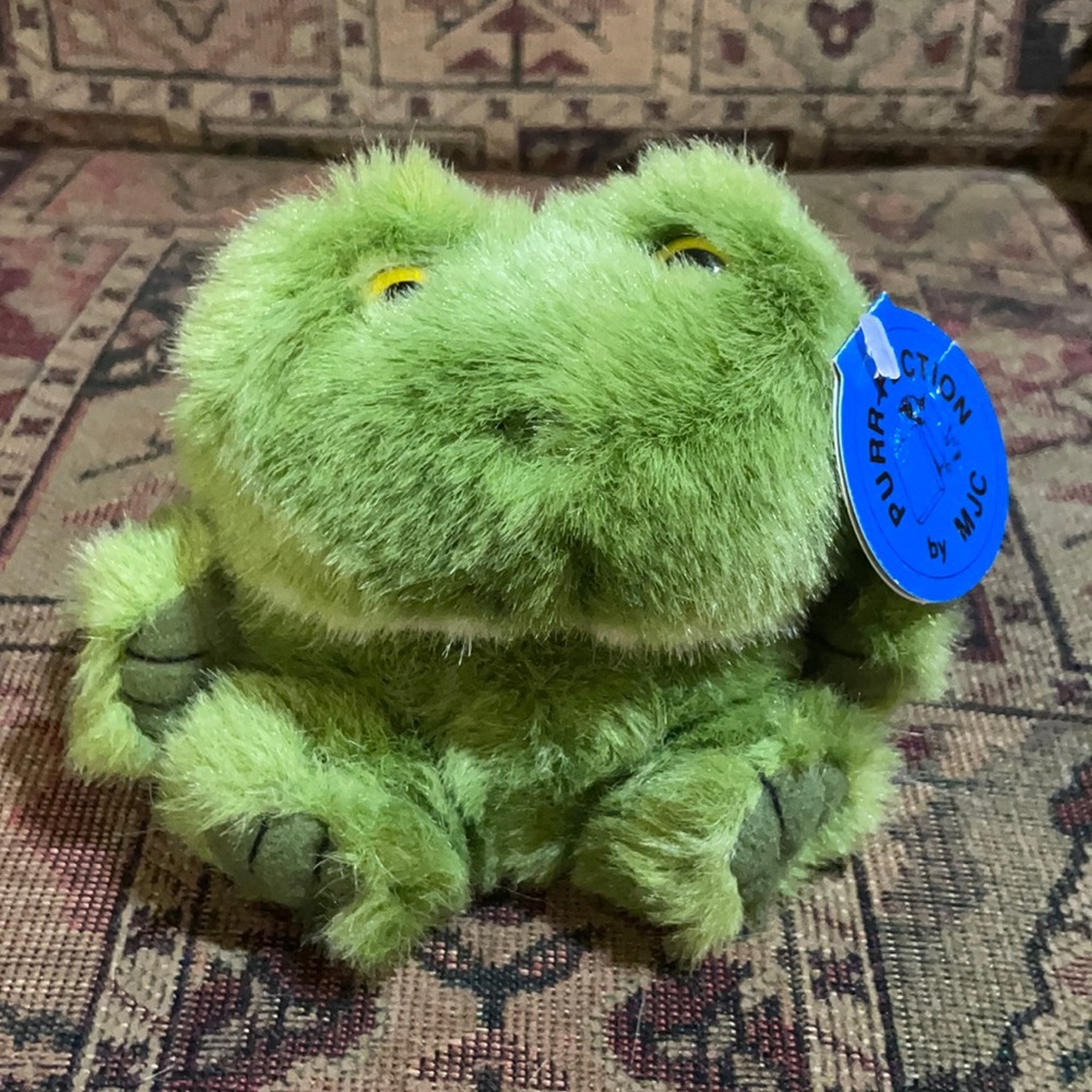 Cute tiny frog